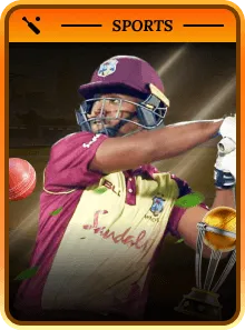 International Cricket